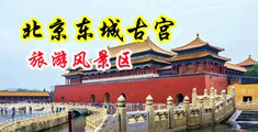 欧美插屄插妞草中国北京-东城古宫旅游风景区